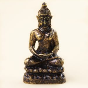 Buda meditación